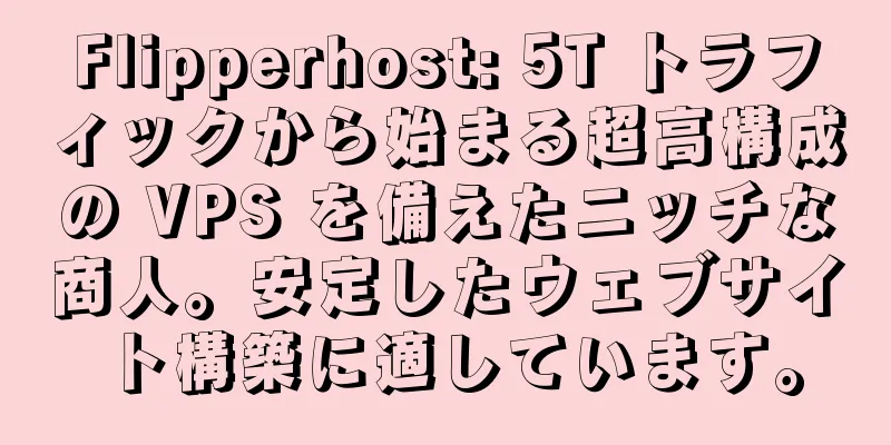 Flipperhost: 5T トラフィックから始まる超高構成の VPS を備えたニッチな商人。安定したウェブサイト構築に適しています。