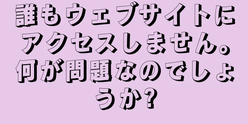 誰もウェブサイトにアクセスしません。何が問題なのでしょうか?