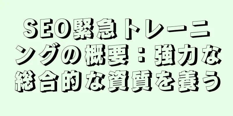 SEO緊急トレーニングの概要：強力な総合的な資質を養う