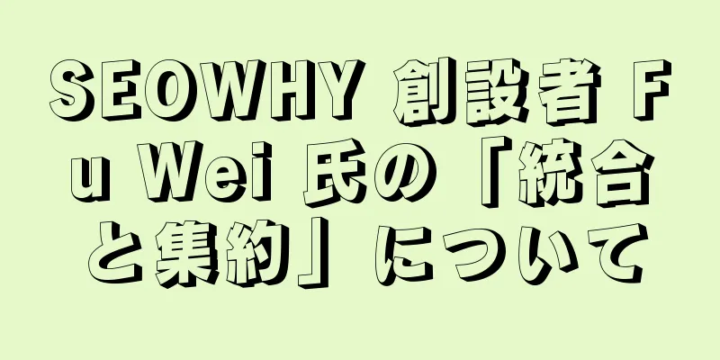 SEOWHY 創設者 Fu Wei 氏の「統合と集約」について