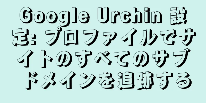 Google Urchin 設定: プロファイルでサイトのすべてのサブドメインを追跡する