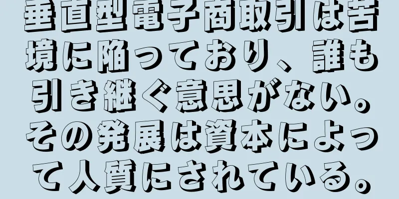 垂直型電子商取引は苦境に陥っており、誰も引き継ぐ意思がない。その発展は資本によって人質にされている。