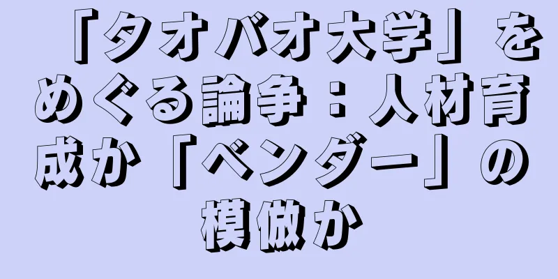 「タオバオ大学」をめぐる論争：人材育成か「ベンダー」の模倣か