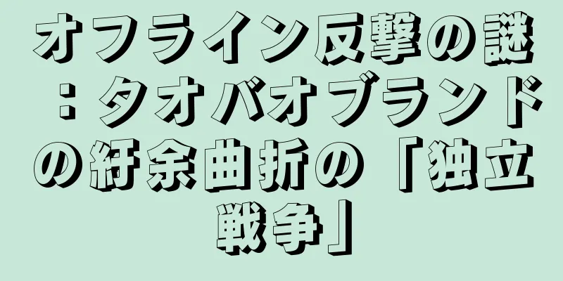 オフライン反撃の謎：タオバオブランドの紆余曲折の「独立戦争」