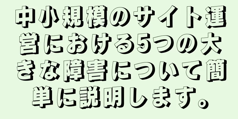 中小規模のサイト運営における5つの大きな障害について簡単に説明します。