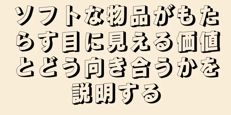 ソフトな物品がもたらす目に見える価値とどう向き合うかを説明する