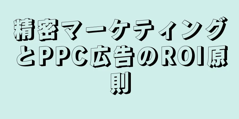 精密マーケティングとPPC広告のROI原則
