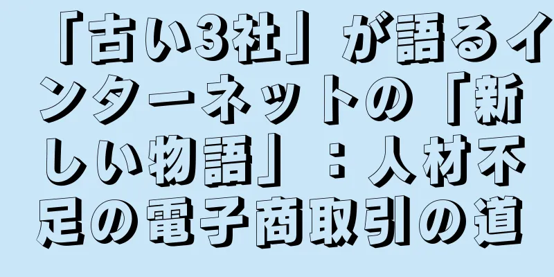 「古い3社」が語るインターネットの「新しい物語」：人材不足の電子商取引の道