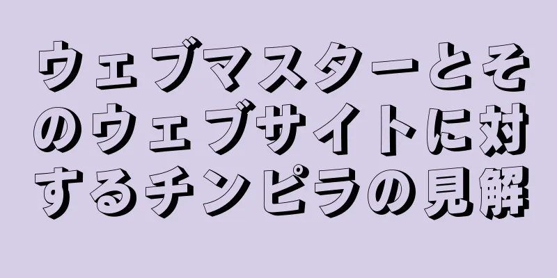 ウェブマスターとそのウェブサイトに対するチンピラの見解