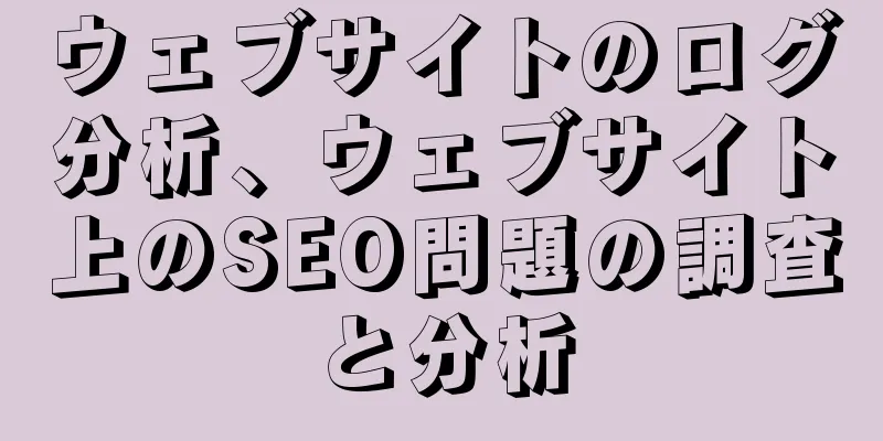 ウェブサイトのログ分析、ウェブサイト上のSEO問題の調査と分析