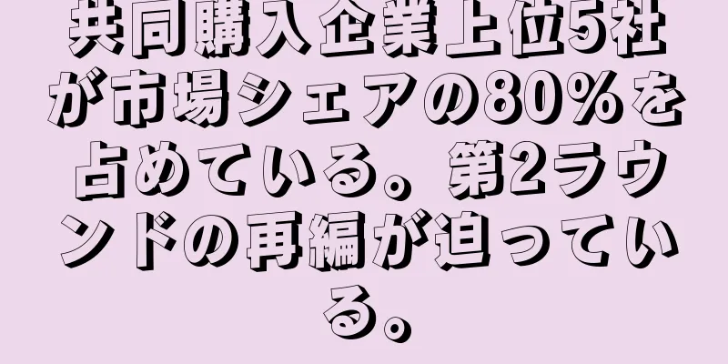 共同購入企業上位5社が市場シェアの80%を占めている。第2ラウンドの再編が迫っている。