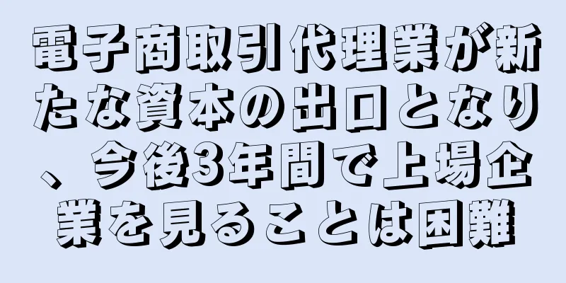 電子商取引代理業が新たな資本の出口となり、今後3年間で上場企業を見ることは困難
