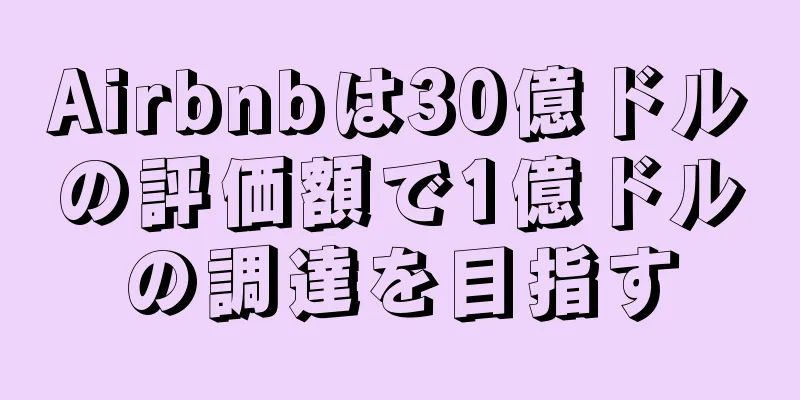 Airbnbは30億ドルの評価額で1億ドルの調達を目指す