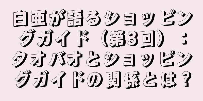 白亜が語るショッピングガイド（第3回）：タオバオとショッピングガイドの関係とは？