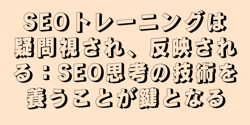 SEOトレーニングは疑問視され、反映される：SEO思考の技術を養うことが鍵となる