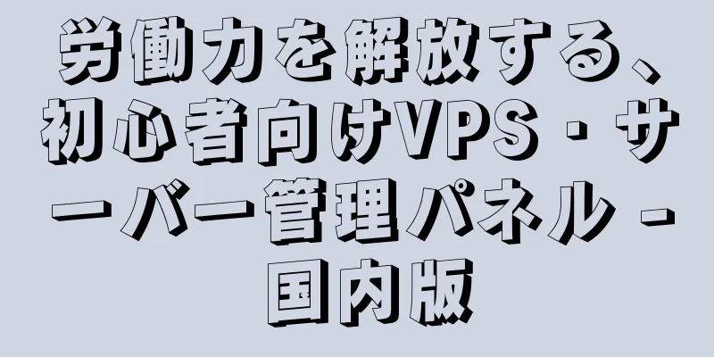労働力を解放する、初心者向けVPS・サーバー管理パネル - 国内版
