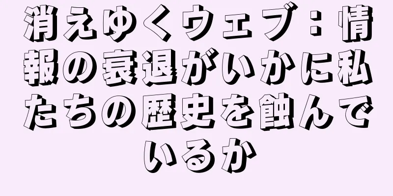 消えゆくウェブ：情報の衰退がいかに私たちの歴史を蝕んでいるか