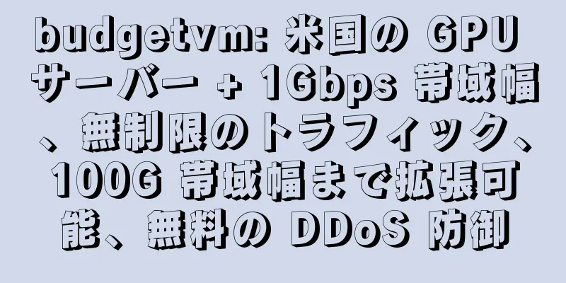 budgetvm: 米国の GPU サーバー + 1Gbps 帯域幅、無制限のトラフィック、100G 帯域幅まで拡張可能、無料の DDoS 防御