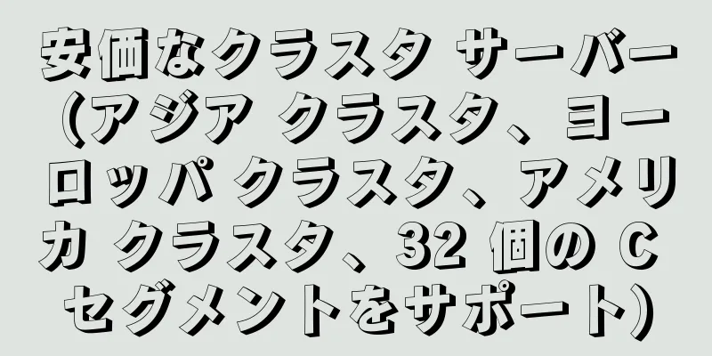 安価なクラスタ サーバー (アジア クラスタ、ヨーロッパ クラスタ、アメリカ クラスタ、32 個の C セグメントをサポート)