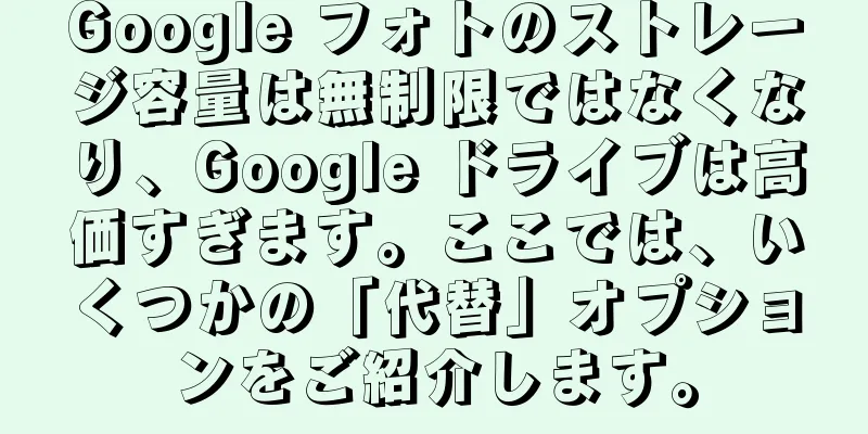 Google フォトのストレージ容量は無制限ではなくなり、Google ドライブは高価すぎます。ここでは、いくつかの「代替」オプションをご紹介します。