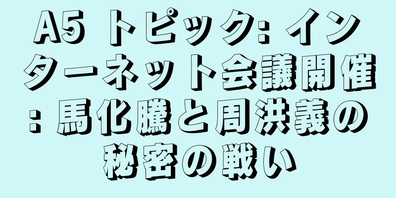 A5 トピック: インターネット会議開催: 馬化騰と周洪義の秘密の戦い