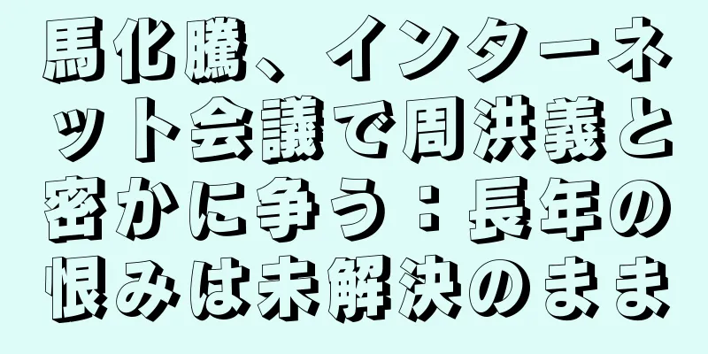 馬化騰、インターネット会議で周洪義と密かに争う：長年の恨みは未解決のまま