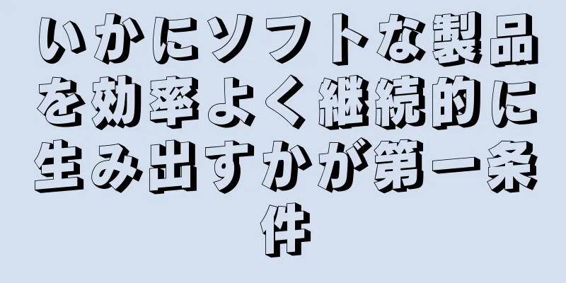 いかにソフトな製品を効率よく継続的に生み出すかが第一条件