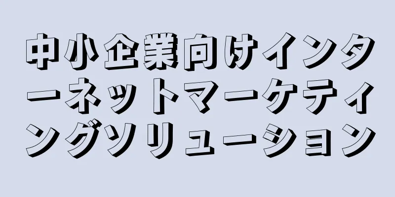 中小企業向けインターネットマーケティングソリューション