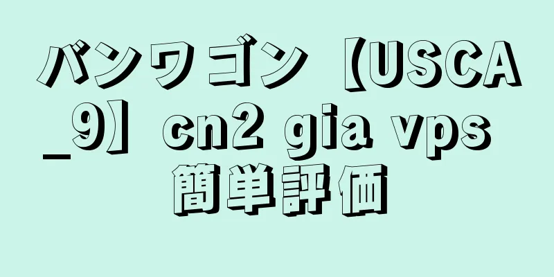 バンワゴン【USCA_9】cn2 gia vps 簡単評価
