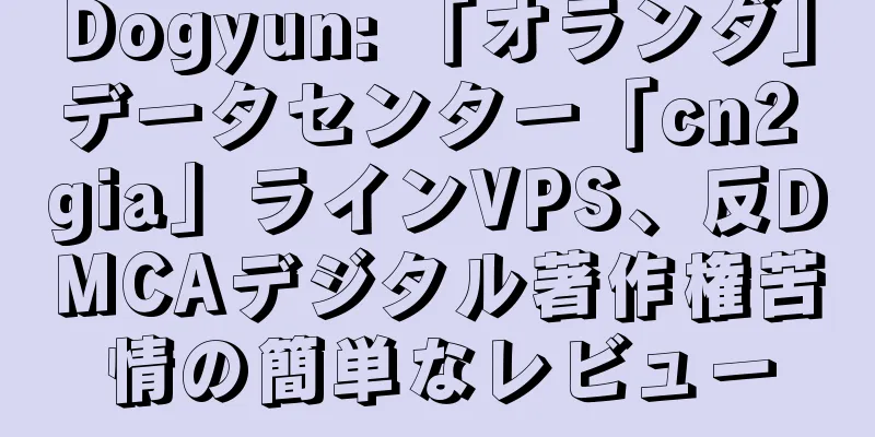 Dogyun: 「オランダ」データセンター「cn2 gia」ラインVPS、反DMCAデジタル著作権苦情の簡単なレビュー