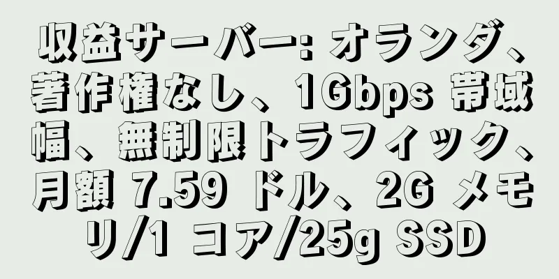 収益サーバー: オランダ、著作権なし、1Gbps 帯域幅、無制限トラフィック、月額 7.59 ドル、2G メモリ/1 コア/25g SSD