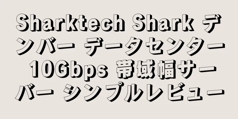 Sharktech Shark デンバー データセンター 10Gbps 帯域幅サーバー シンプルレビュー