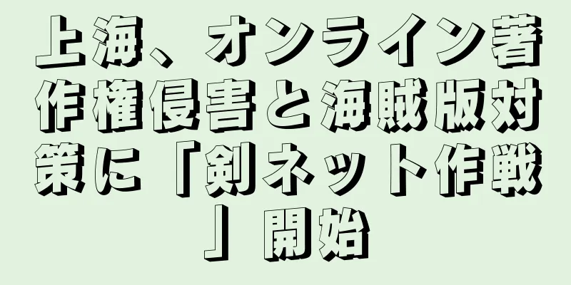 上海、オンライン著作権侵害と海賊版対策に「剣ネット作戦」開始