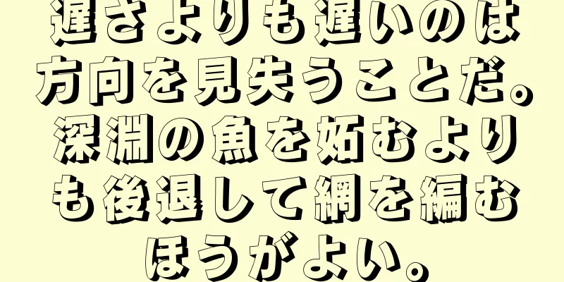 遅さよりも遅いのは方向を見失うことだ。深淵の魚を妬むよりも後退して網を編むほうがよい。