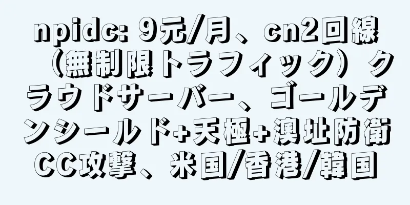 npidc: 9元/月、cn2回線（無制限トラフィック）クラウドサーバー、ゴールデンシールド+天極+澳址防衛CC攻撃、米国/香港/韓国
