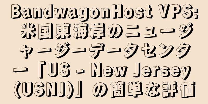 BandwagonHost VPS: 米国東海岸のニュージャージーデータセンター「US - New Jersey (USNJ)」の簡単な評価