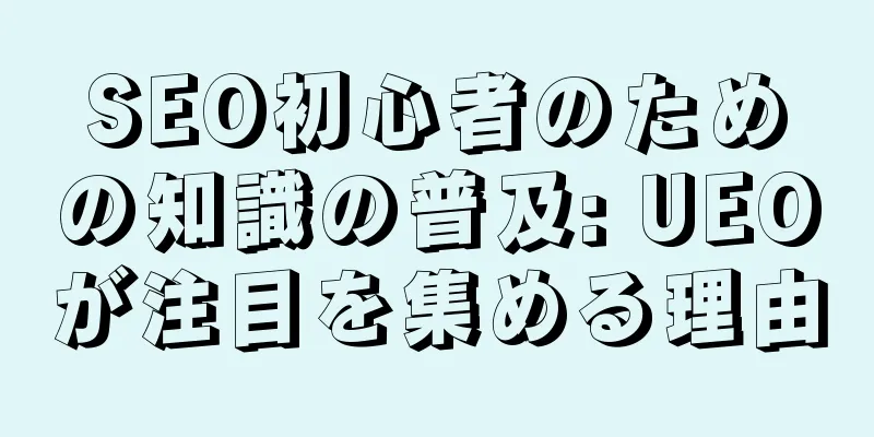SEO初心者のための知識の普及: UEOが注目を集める理由