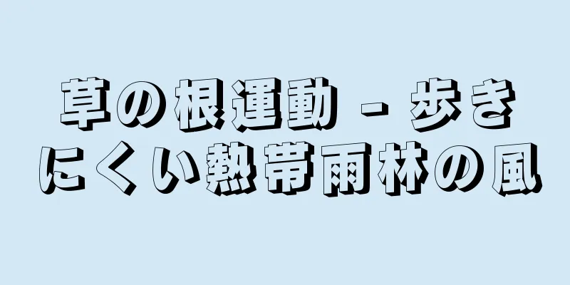 草の根運動 - 歩きにくい熱帯雨林の風