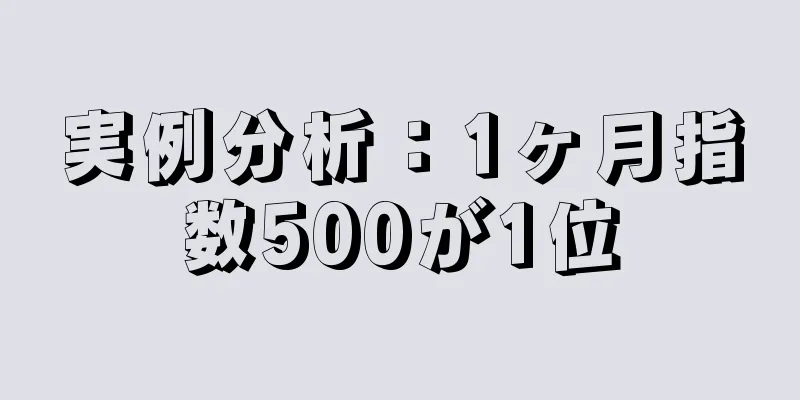 実例分析：1ヶ月指数500が1位