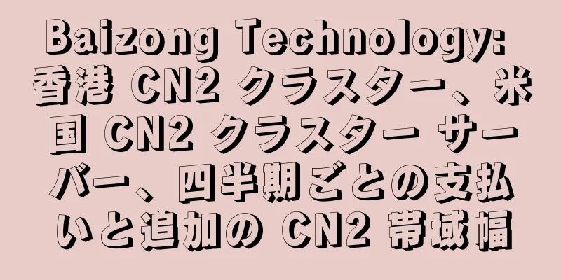 Baizong Technology: 香港 CN2 クラスター、米国 CN2 クラスター サーバー、四半期ごとの支払いと追加の CN2 帯域幅