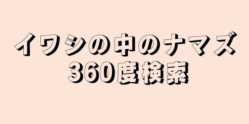 イワシの中のナマズ 360度検索