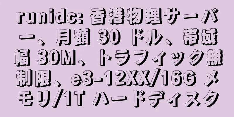 runidc: 香港物理サーバー、月額 30 ドル、帯域幅 30M、トラフィック無制限、e3-12XX/16G メモリ/1T ハードディスク