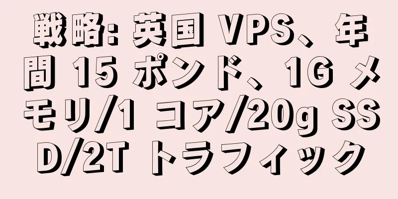 戦略: 英国 VPS、年間 15 ポンド、1G メモリ/1 コア/20g SSD/2T トラフィック