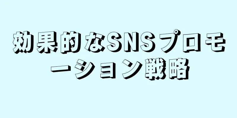 効果的なSNSプロモーション戦略