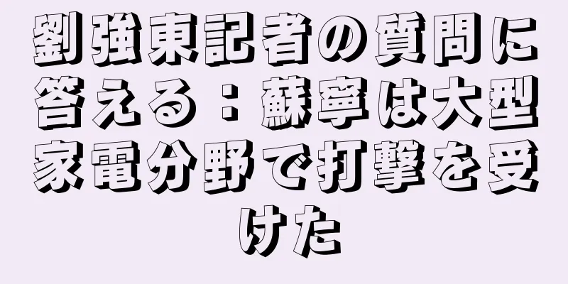 劉強東記者の質問に答える：蘇寧は大型家電分野で打撃を受けた