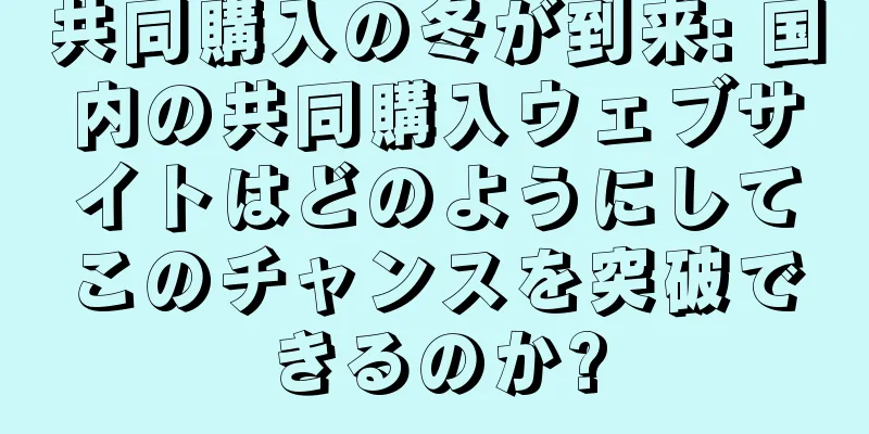 共同購入の冬が到来: 国内の共同購入ウェブサイトはどのようにしてこのチャンスを突破できるのか?