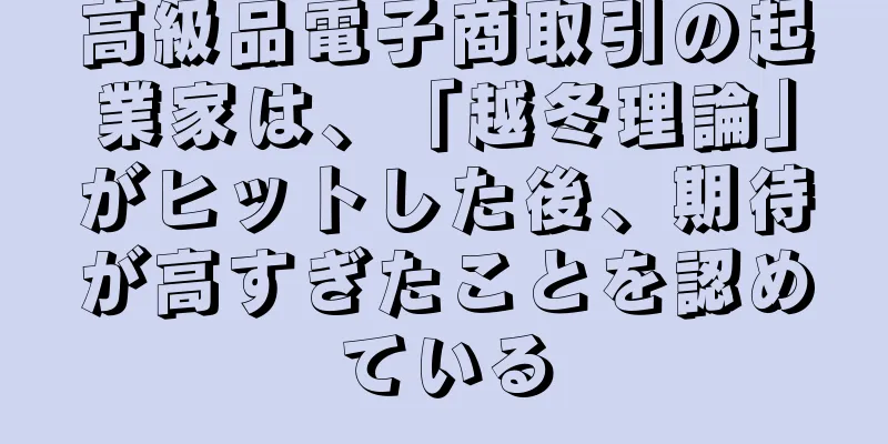 高級品電子商取引の起業家は、「越冬理論」がヒットした後、期待が高すぎたことを認めている