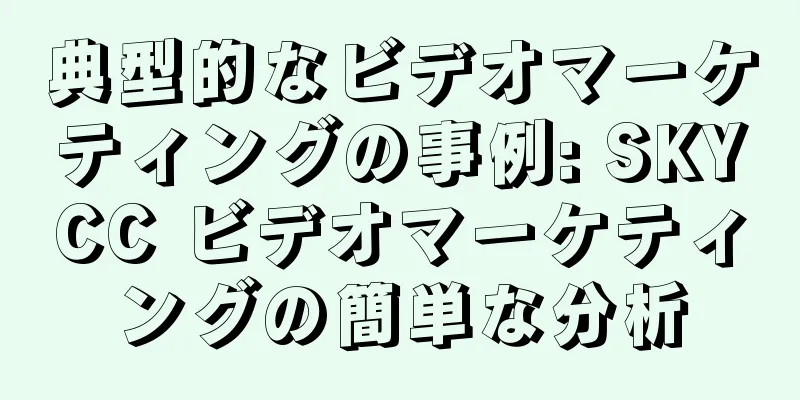 典型的なビデオマーケティングの事例: SKYCC ビデオマーケティングの簡単な分析