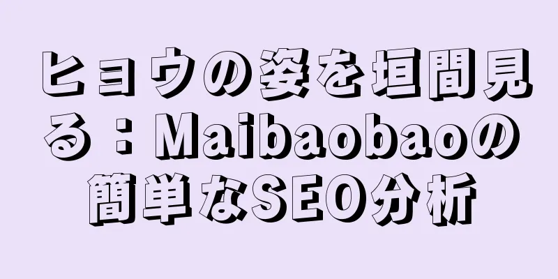 ヒョウの姿を垣間見る：Maibaobaoの簡単なSEO分析