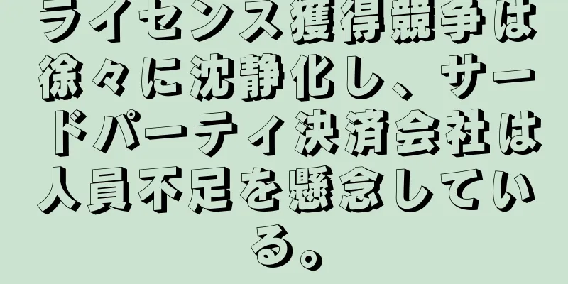ライセンス獲得競争は徐々に沈静化し、サードパーティ決済会社は人員不足を懸念している。